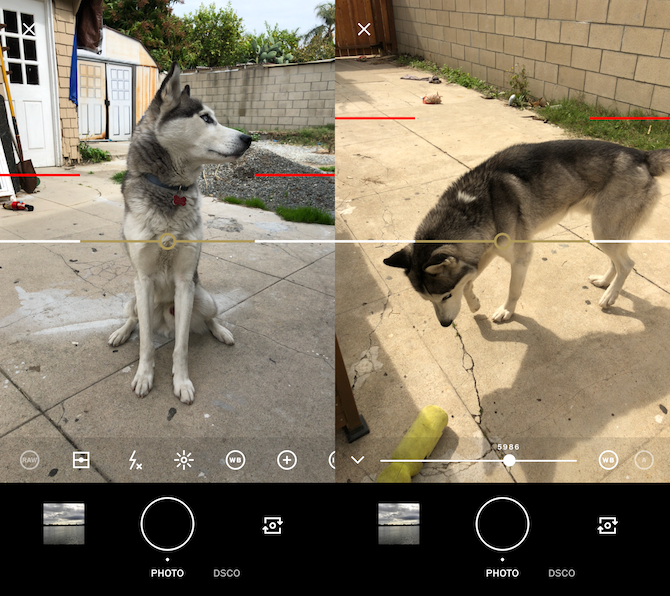 VSCO Camera App - экраны для фотосъемки