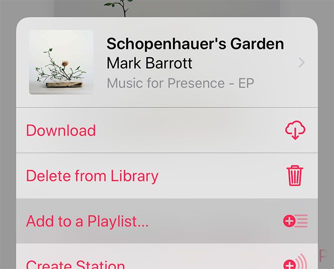 Add to Apple Music Playlist iOS