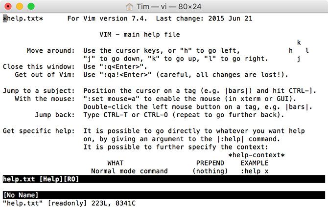 Vim running in macOS Terminal