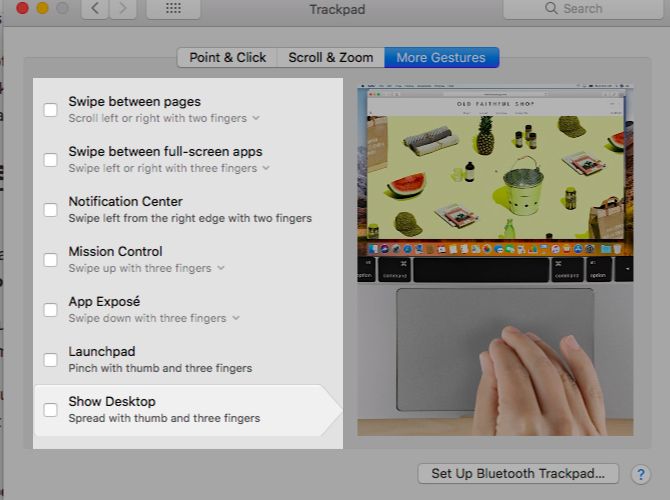 disable-multitouch-gestures Mac