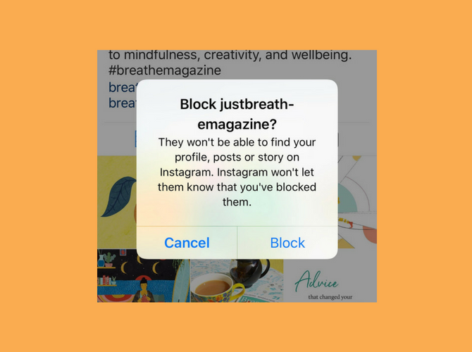Instagram Block