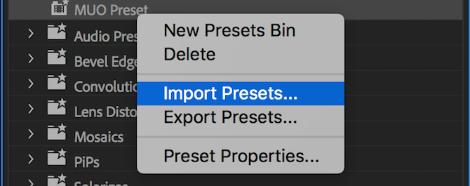 Premiere Pro import/export preset menu