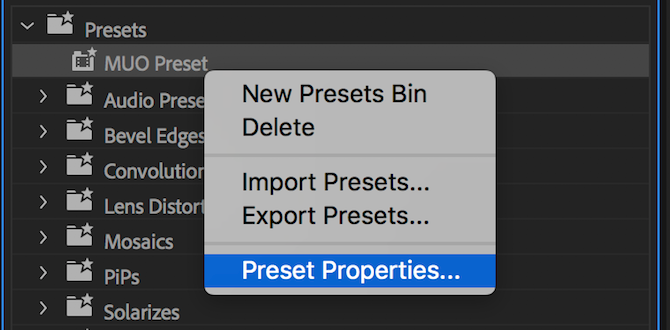 Premiere Pro preset properties menu