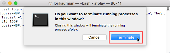 Click Terminate for a process in a Terminal window on Mac