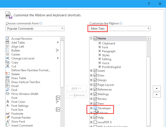 Select the Developer check box on the Customize the Ribbon screen on the Word Options dialog box