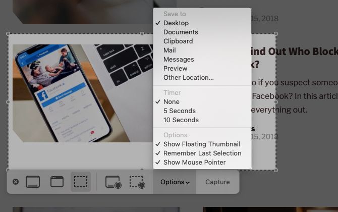 options-menu-in-screenshot-app-on-mac