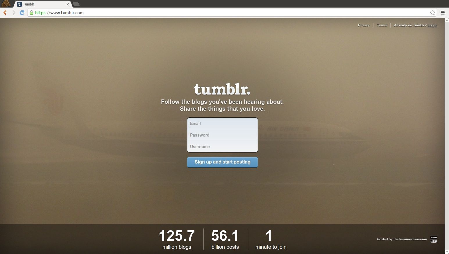 Image result for A Guide to the Best Tumblr Features for Bloggers