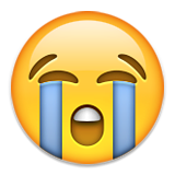 crying emoji emoticon