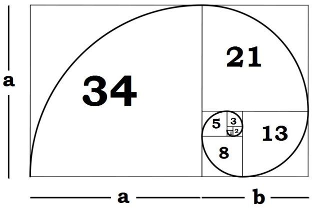 explicação fibonacci-espiral
