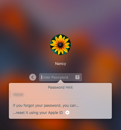 forgotten administrator password macbook air