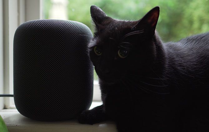 HomePod with Black Cat