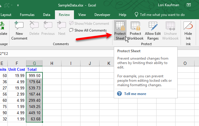 Click Protect Sheet in Excel