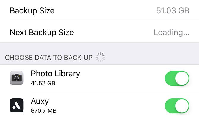 back up iphone - iCloud Backup items