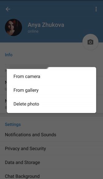 telegram screenshot profile pics