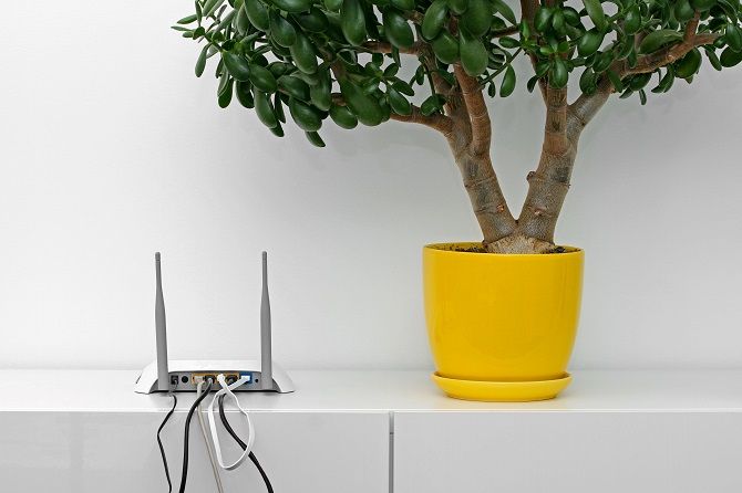 Wi-Fi Router Positioned Adjacent To Flower Pot