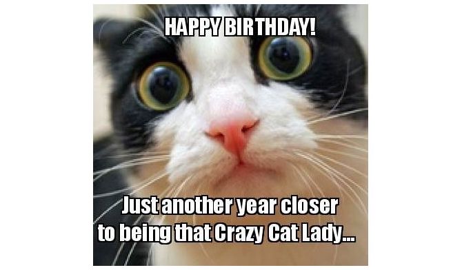 Crazy Cat Lady Birthday Meme