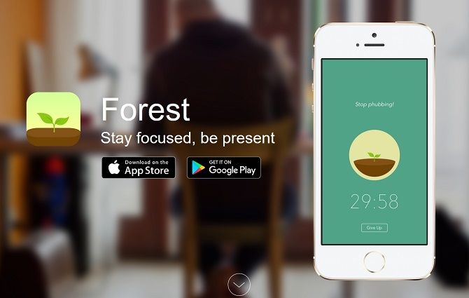 Ảnh chụp màn hình trang web ứng dụng Forest