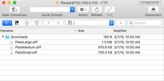 Просмотр файлов FileApp в CyberDuck