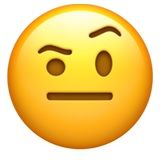 skeptical emoji emoticon