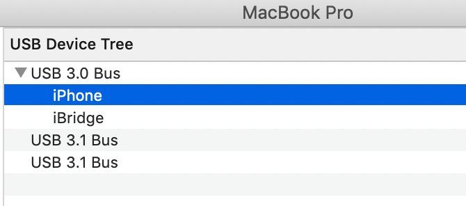 macOS System Report showing connected iPhone