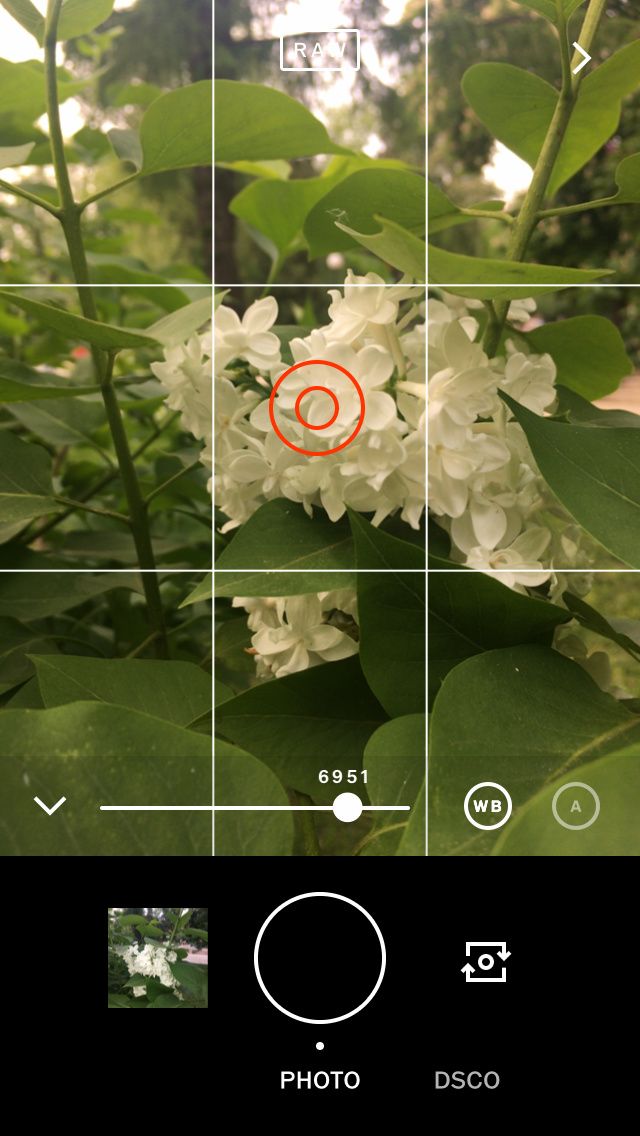 What Is Vsco And Why Do Smartphone Photographers Use It