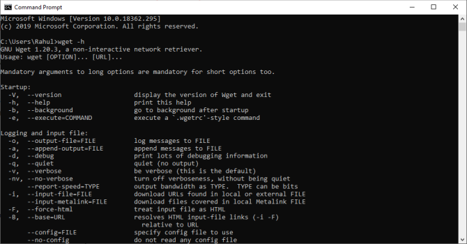 run wget from the command prompt