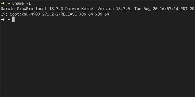 Darwin kernel info in macOS