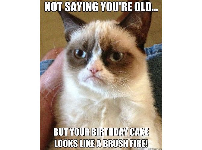 Grumpy Cat Birthday Meme