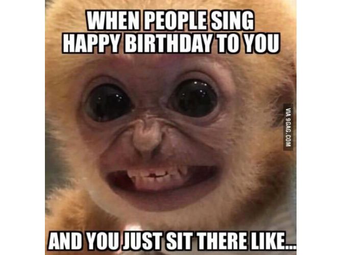 Ugly Monkey Birthday Meme