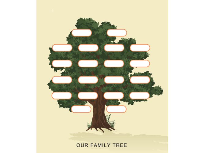 قوالب نموذج شجرة عائلة جاهز Word