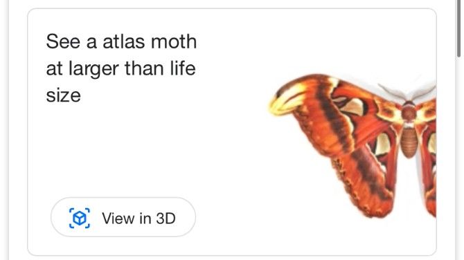 Google AR Search Atlas Moth