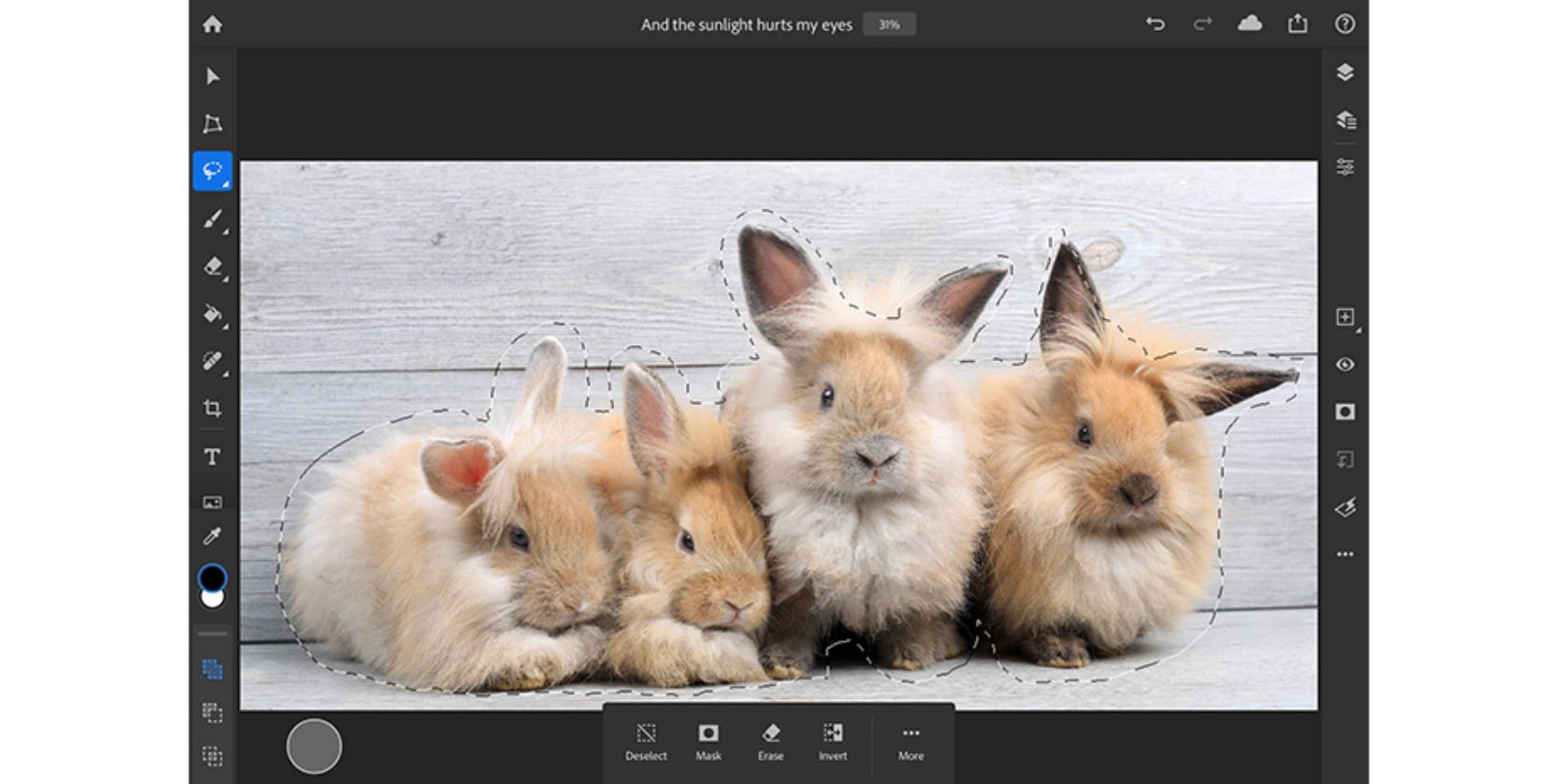 Adobe Updates Photoshop on iPad With Two New Features